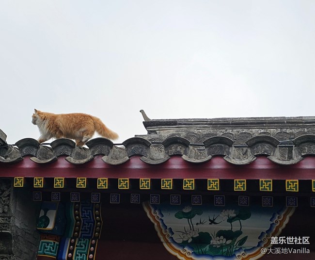 【北京胡同】+感受古韻魅力