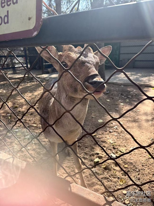 【回顧貼】三星鳥島行，齊聚樂翻天