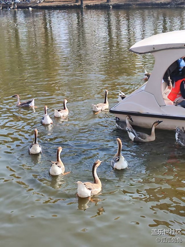 三星星部落鳥島攝影活動回顧