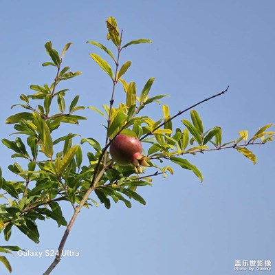 金秋十一月