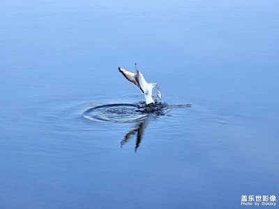 今日小美好，可惜長焦還不夠給力