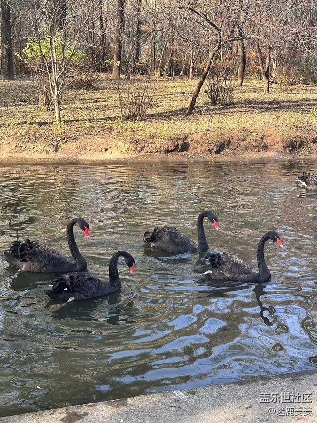 【回顧貼】三星鳥島行，齊聚樂翻天