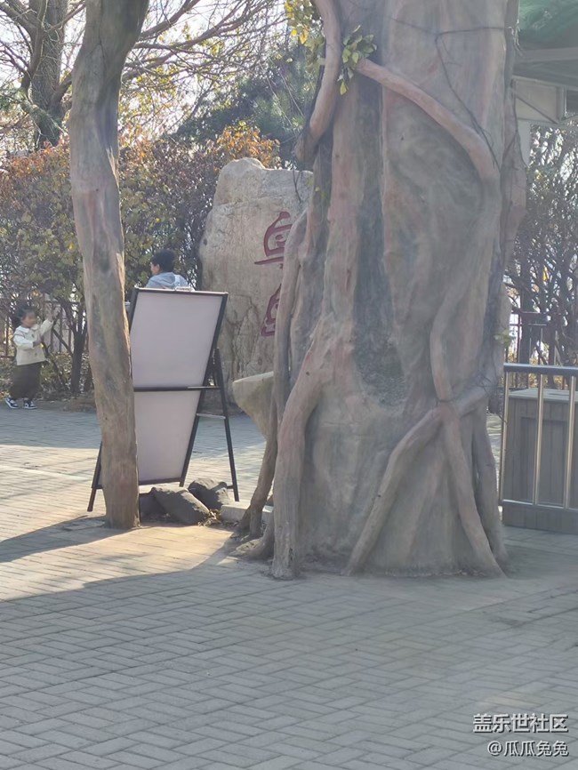 三星星部落鳥島攝影活動回顧