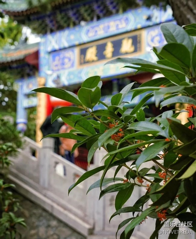 【名勝古跡】青島湛山寺