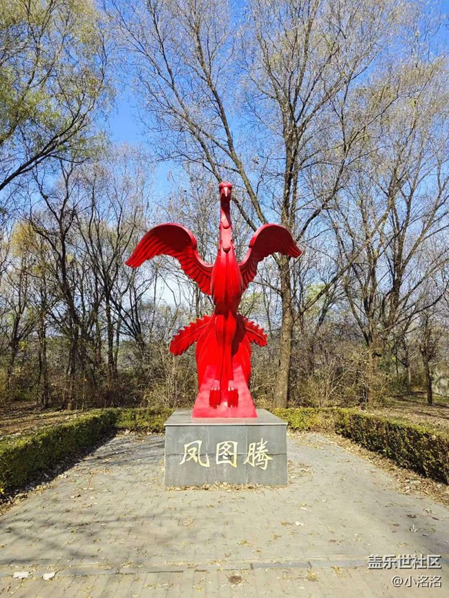 沈陽(yáng)星部落鳥(niǎo)島攝影活動(dòng)回顧