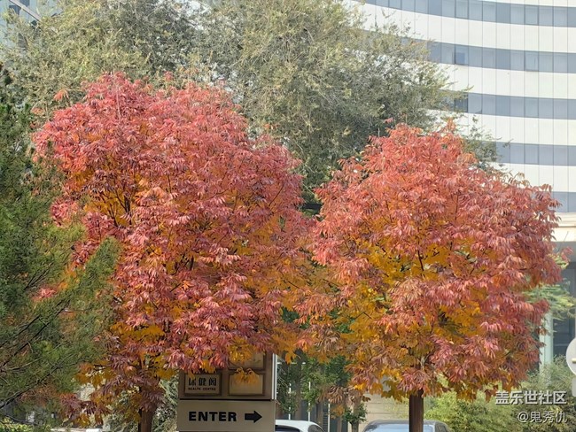 【秋意濃】初見