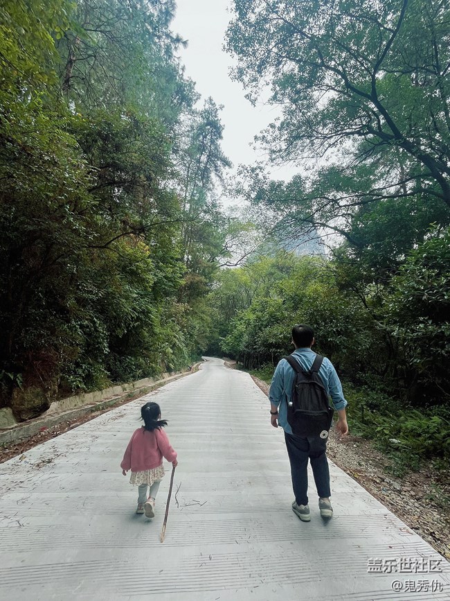 #秋天的道路——尚綠