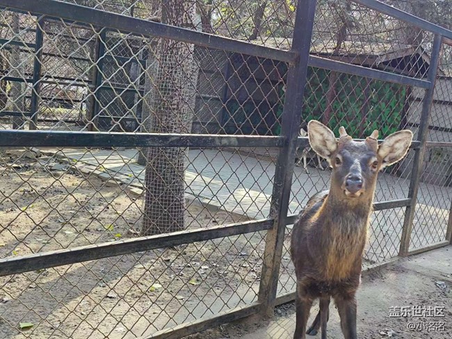 沈陽(yáng)星部落鳥(niǎo)島攝影活動(dòng)回顧