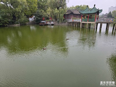 【生活禮贊】+公園隨拍