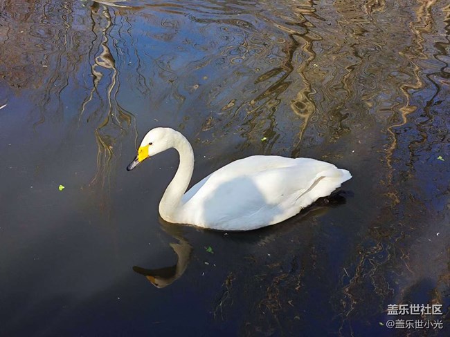 沈陽鳥島一日游行行攝攝回顧