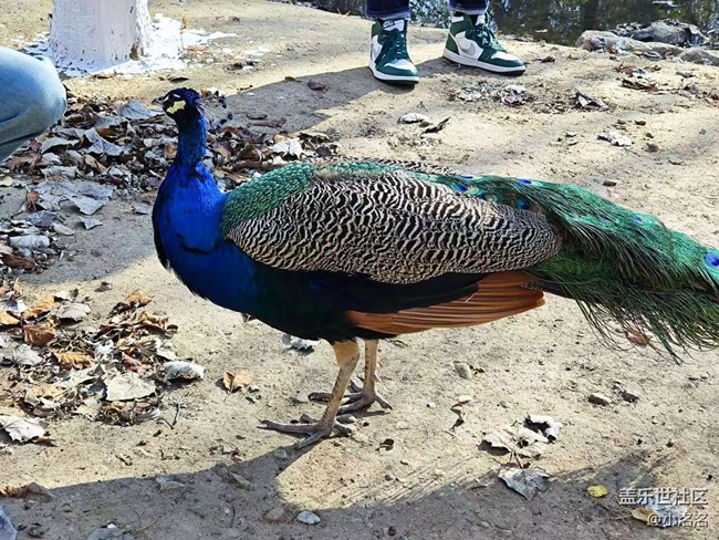 沈陽(yáng)星部落鳥(niǎo)島攝影活動(dòng)回顧