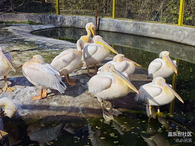 沈陽(yáng)星部落鳥(niǎo)島攝影活動(dòng)回顧