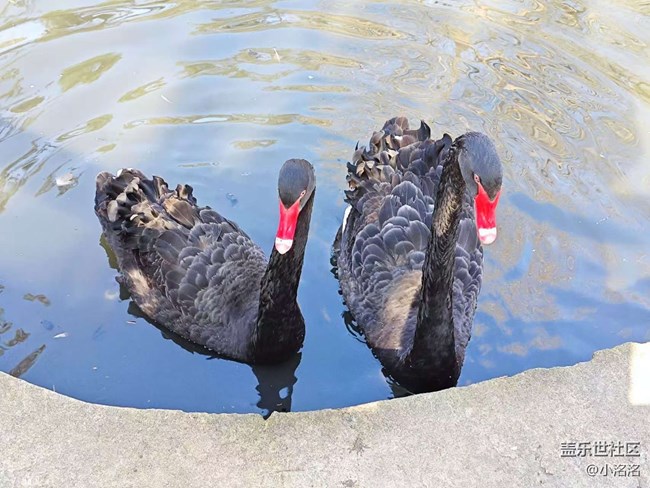 沈陽(yáng)星部落鳥(niǎo)島攝影活動(dòng)回顧