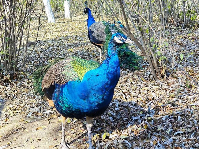 沈陽鳥島一日游行行攝攝回顧
