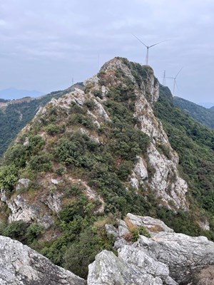【生活禮贊】美麗山景