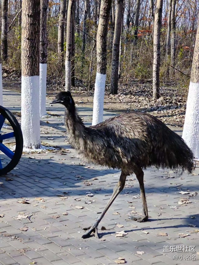 沈陽(yáng)星部落鳥(niǎo)島攝影活動(dòng)回顧