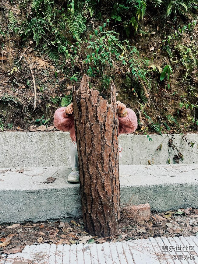 #秋天的道路——尚綠