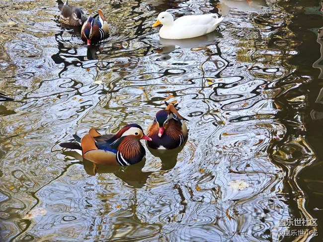 沈陽鳥島一日游行行攝攝回顧