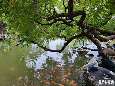【生活禮贊】觀魚