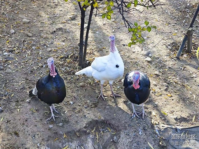 沈陽鳥島一日游行行攝攝回顧