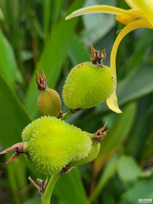 【生活禮贊】+ 秋天隨拍