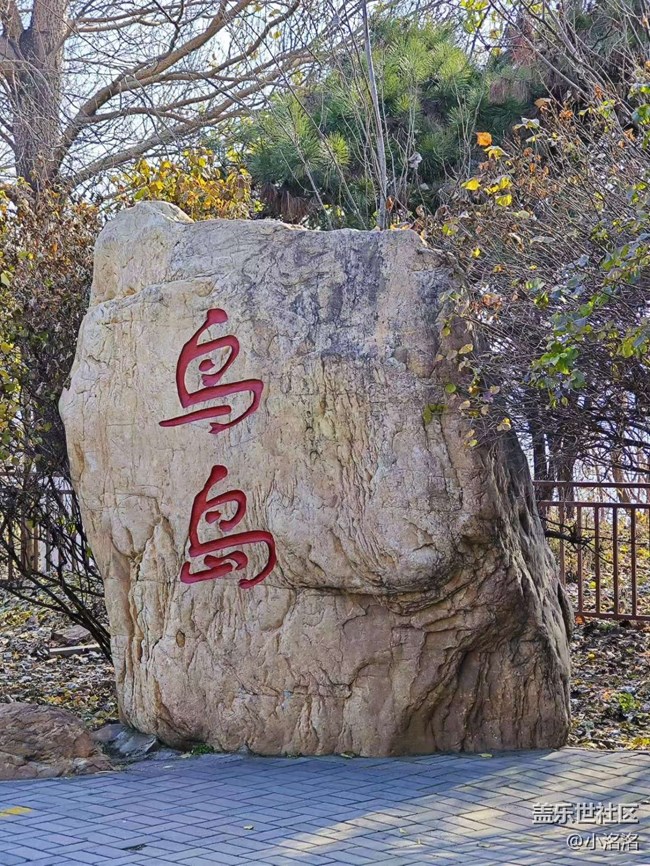 沈陽(yáng)星部落鳥(niǎo)島攝影活動(dòng)回顧