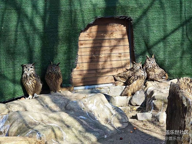 沈陽鳥島一日游行行攝攝回顧
