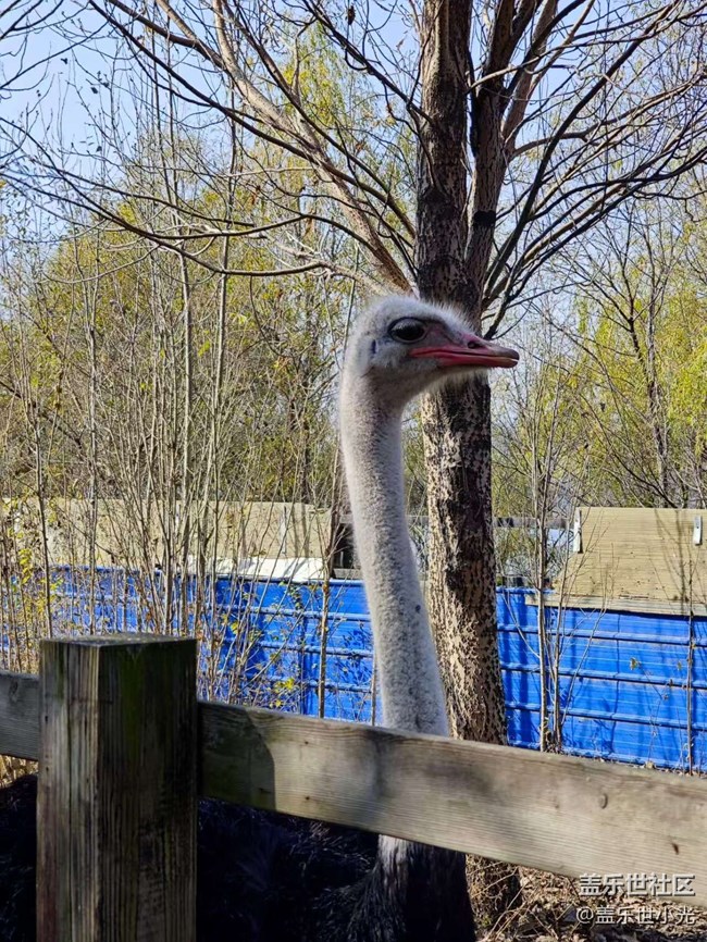 沈陽鳥島一日游行行攝攝回顧