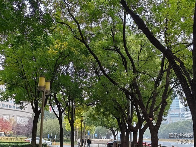 【秋意濃】初見