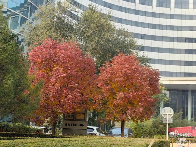 【秋意濃】初見