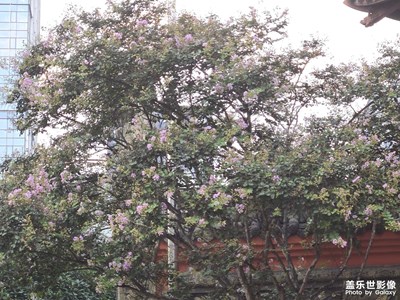 【生活禮贊】+熱愛(ài)生活