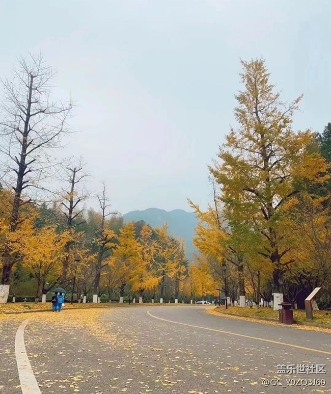 【秋意濃】落葉知秋