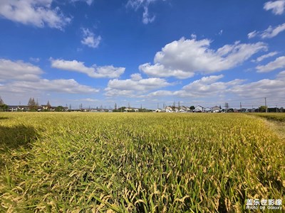 Galaxy Z Flip6第一拍