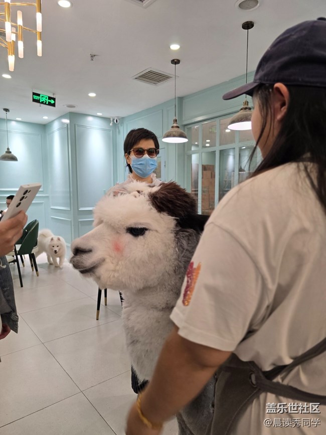 【貓咖狗咖拍了拍】活動回顧貼