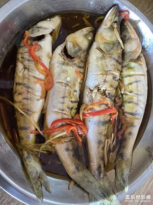 【生活禮贊】+ 犒勞自己