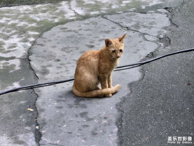 【生活禮贊】+記錄每日生活