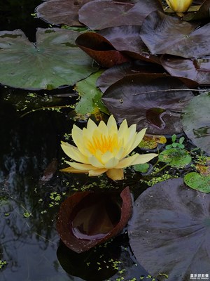 【生活禮贊】秋景