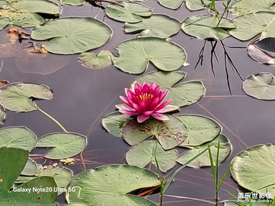 【生活禮贊】隨處風景