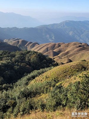 【生活禮贊】S23Ultra 放牛班的秋天