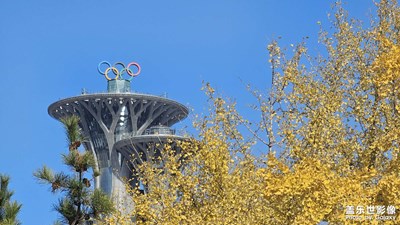 秋意濃，長焦見真章??

