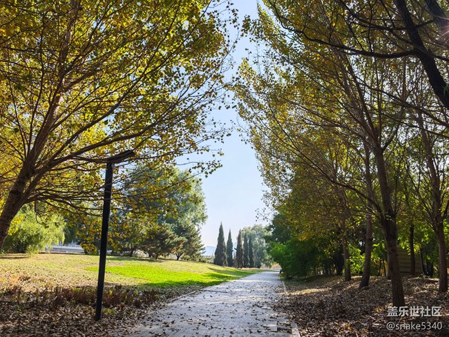 【初冬來】+ 最美的顏色