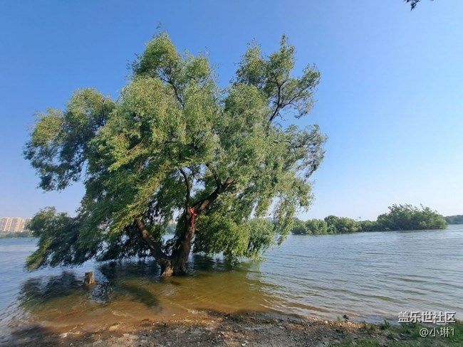 【山河與共】渾河畔