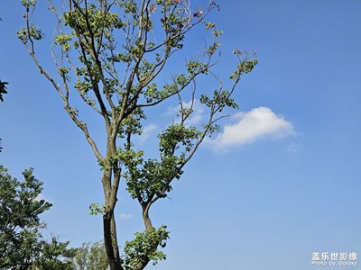 【秋冬時光】云