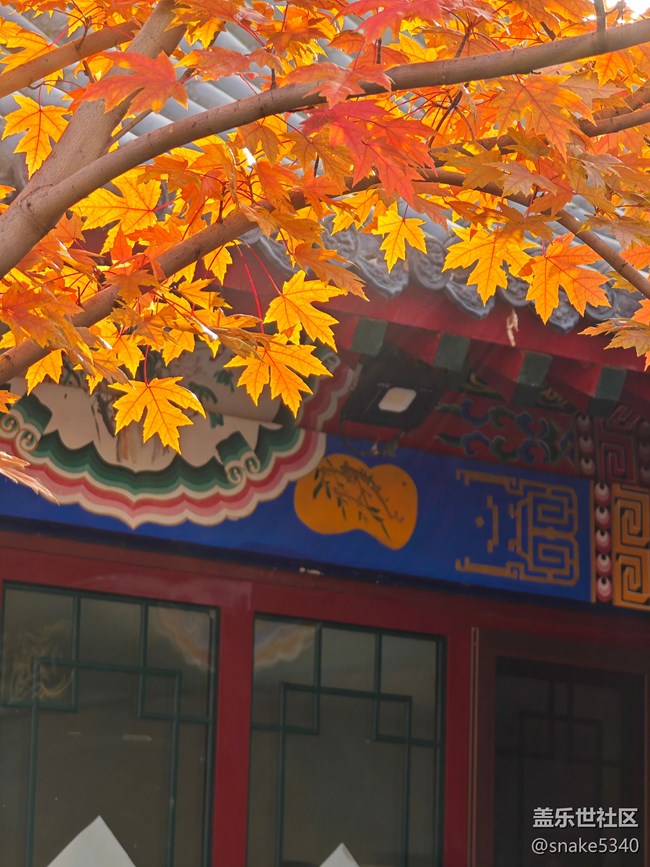 【初冬來】+ 最美的顏色