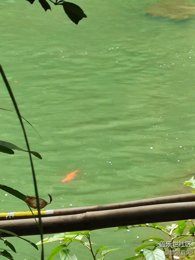 【秋意濃】出去玩