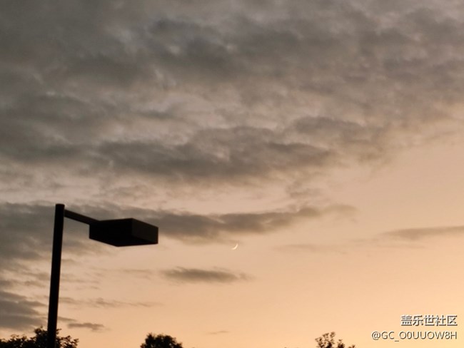 【秋意濃】說走就走