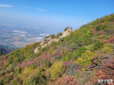 【秋冬時(shí)光】+ 深秋