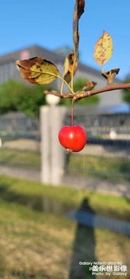 【秋冬時光】隨手拍