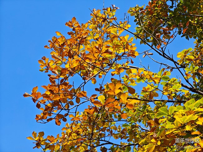 【初冬來】+ 最美的顏色