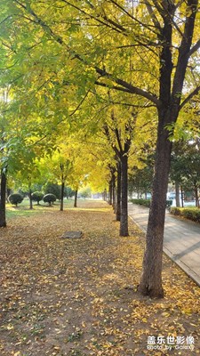 【秋冬時(shí)光】+晚秋